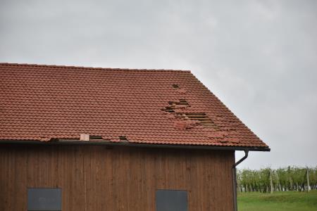 neurje, 20.7.2023 Jernej (4)